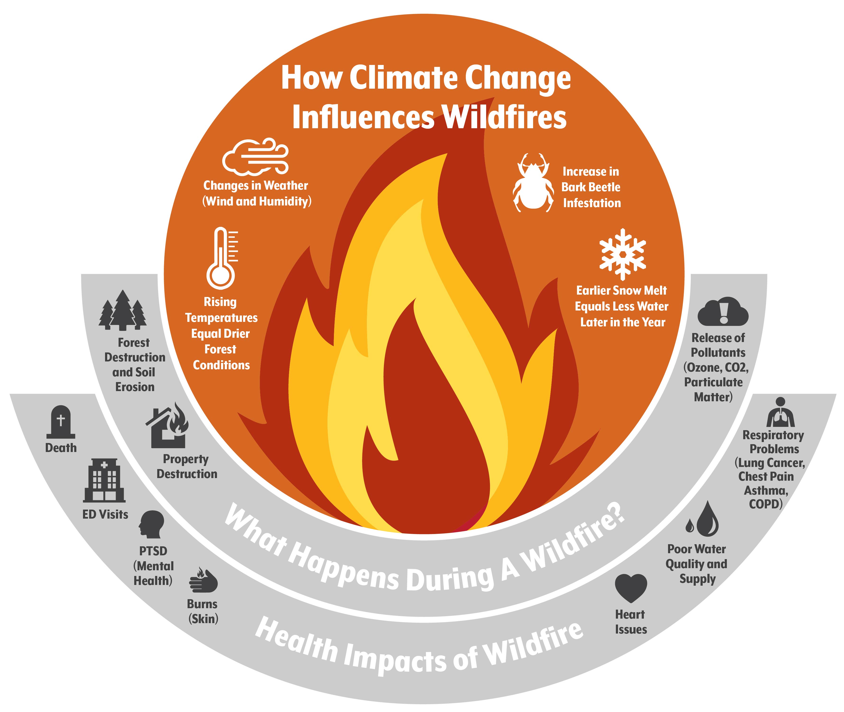 Wildfires, ShutDowns, and Behavior Change 2020 Has Been a Big Year